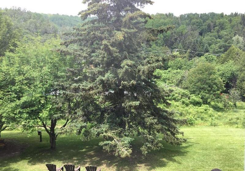 اتاق استاندارد, Auberge Beausejour