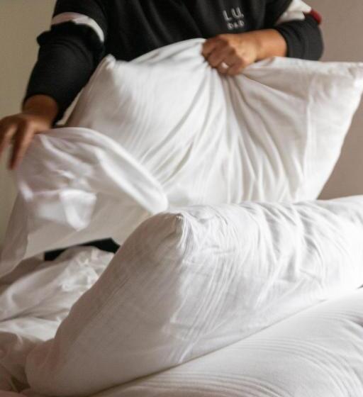 اتاق استاندارد, Lu. B&b