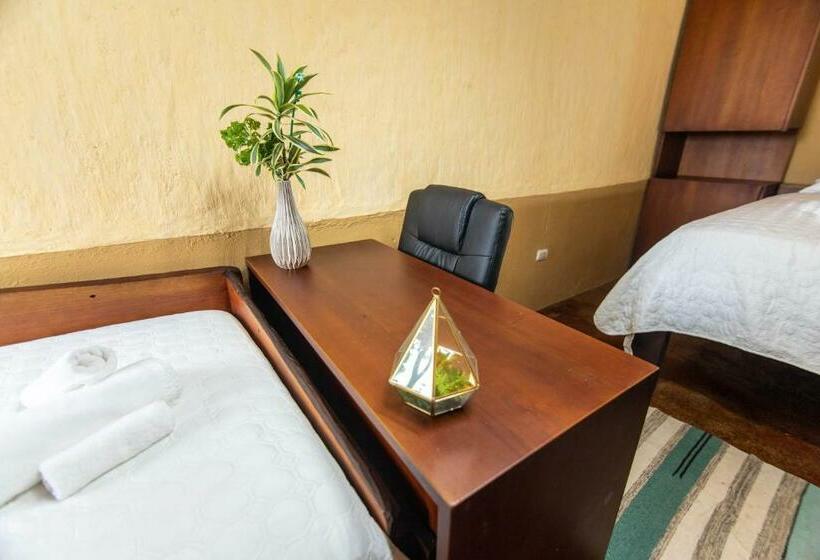 اتاق استاندارد با چشم‌انداز دریا, Selva Armonia Immersive Jungle Resort
