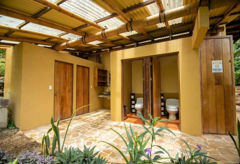 اتاق استاندارد با چشم‌انداز دریا, Selva Armonia Immersive Jungle Resort