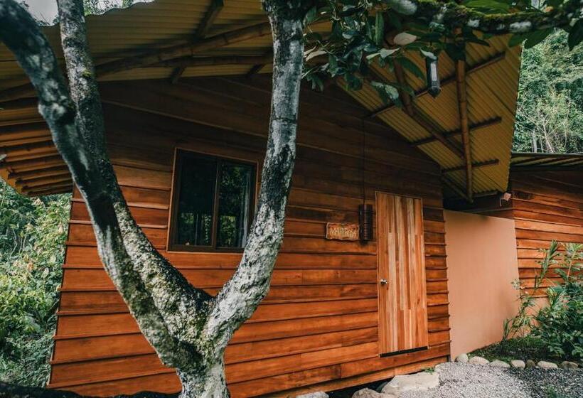 ویلای استاندارد با چشم‌انداز باغ, Selva Armonia Immersive Jungle Resort