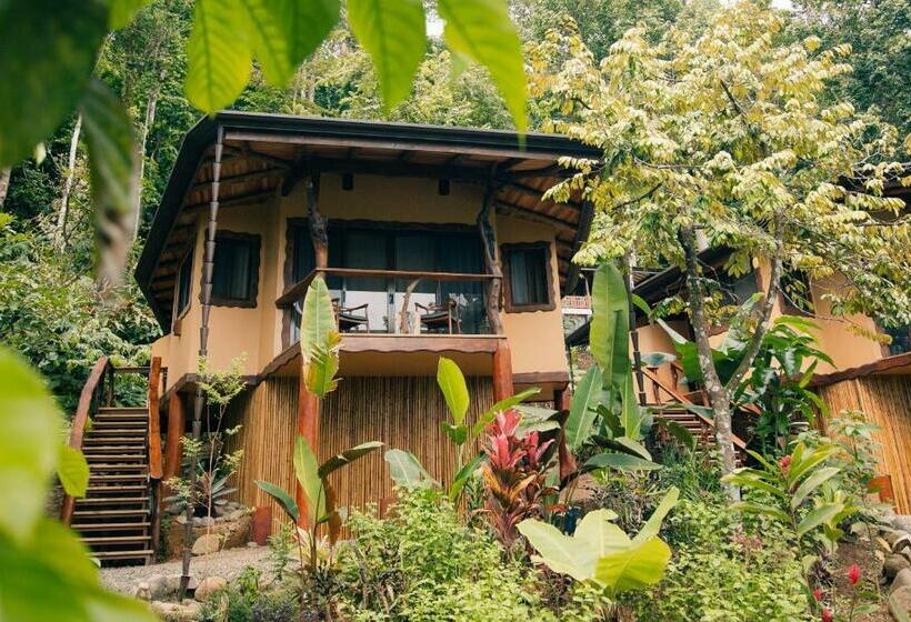 بانگلوی استاندارد, Selva Armonia Immersive Jungle Resort