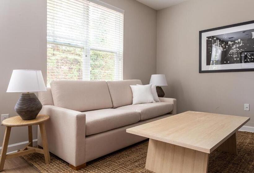 استودیو استاندارد با تخت کینگ, Kasa Freemorewest Charlotte