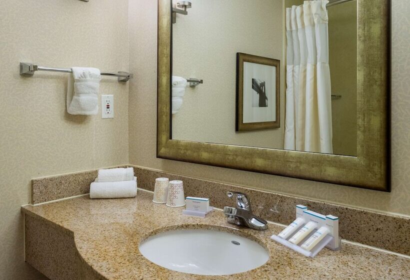 اتاق لوکس, Hilton Garden Inn New York/tribeca
