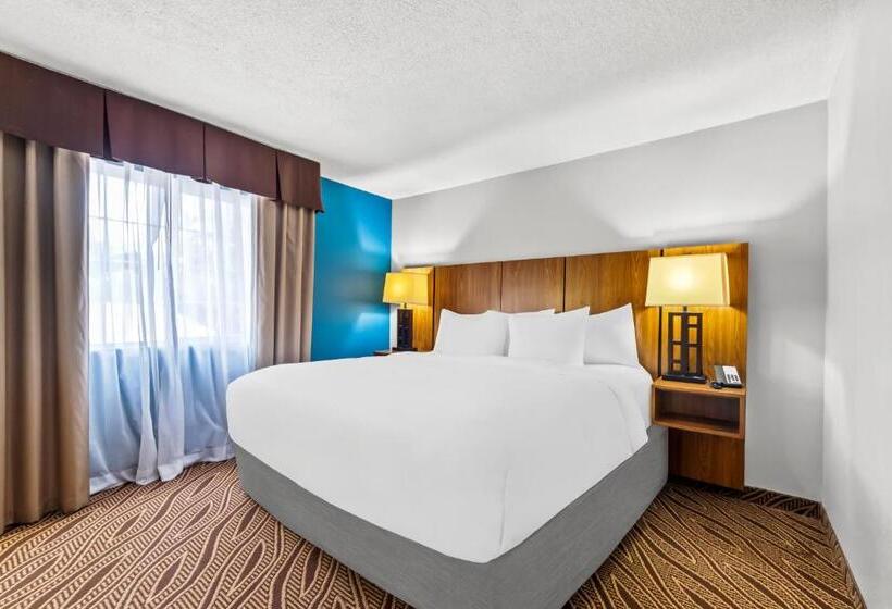 Suíte Cama King, Quality Inn & Suites Airport North - Stone Oak