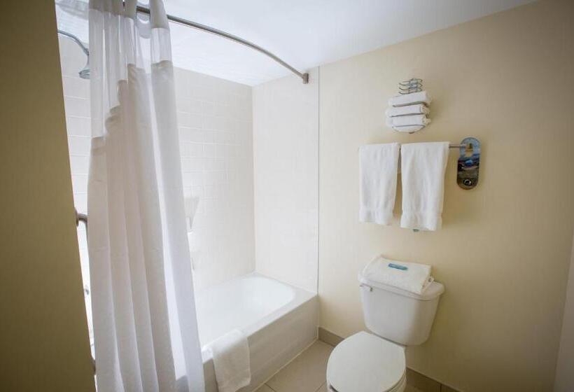 带大床的行政房间, Holiday Inn Express Stellarton New Glasgow, An Ihg