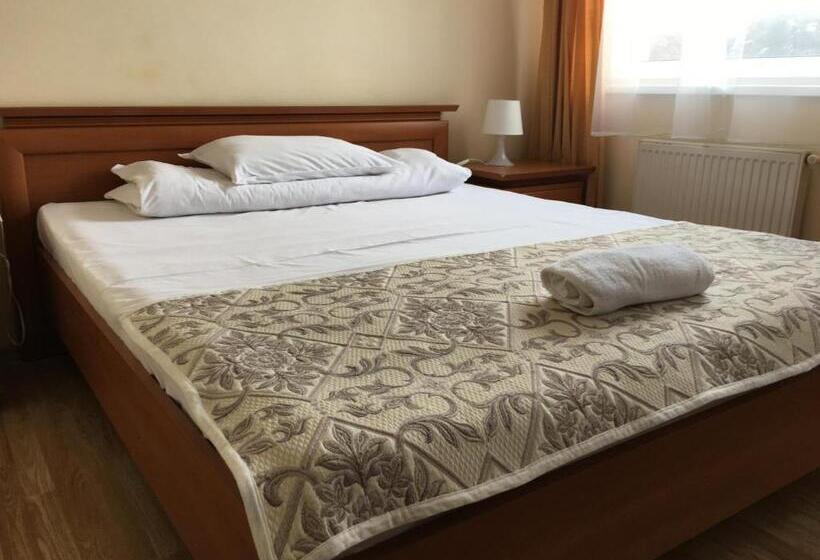 اتاق استاندارد یک نفره, Ferihegy