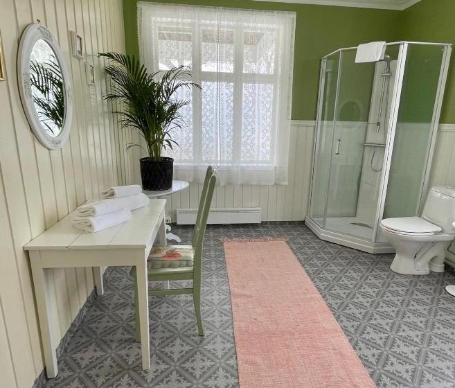 Номер Стандарт с Балконом, Visnes Hotel Stryn