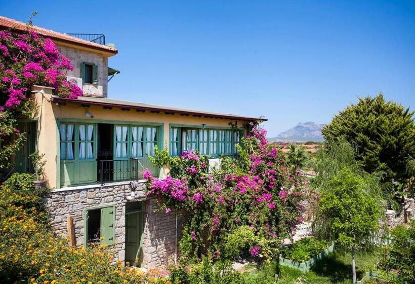 آپارتمان 1 خوابه, Casa Di Datca