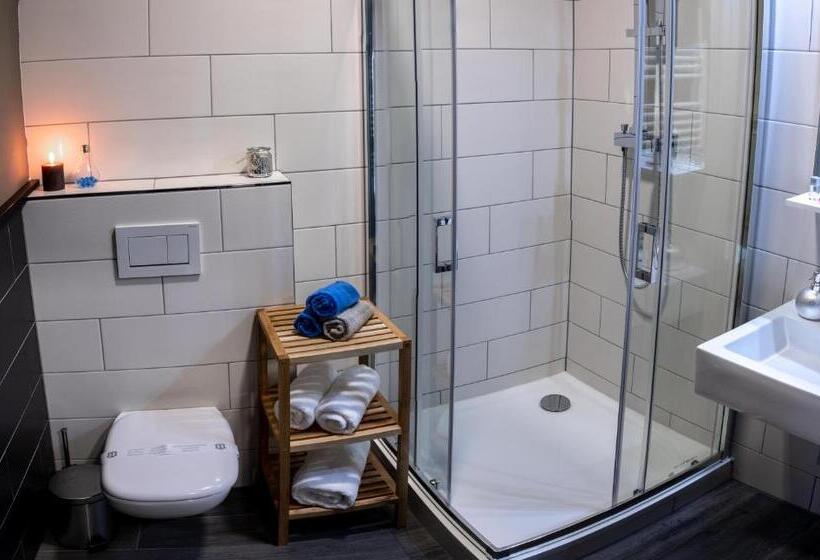 اتاق لوکس, Exclusive Pension Vista Mlada Boleslav