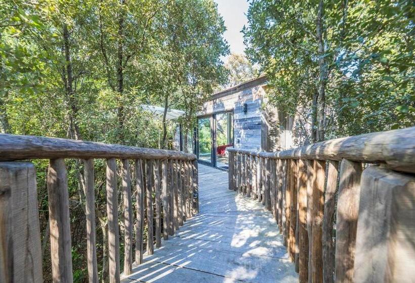 Люкс Deluxe Кровать Кинг, Domaine De Casanghjulina