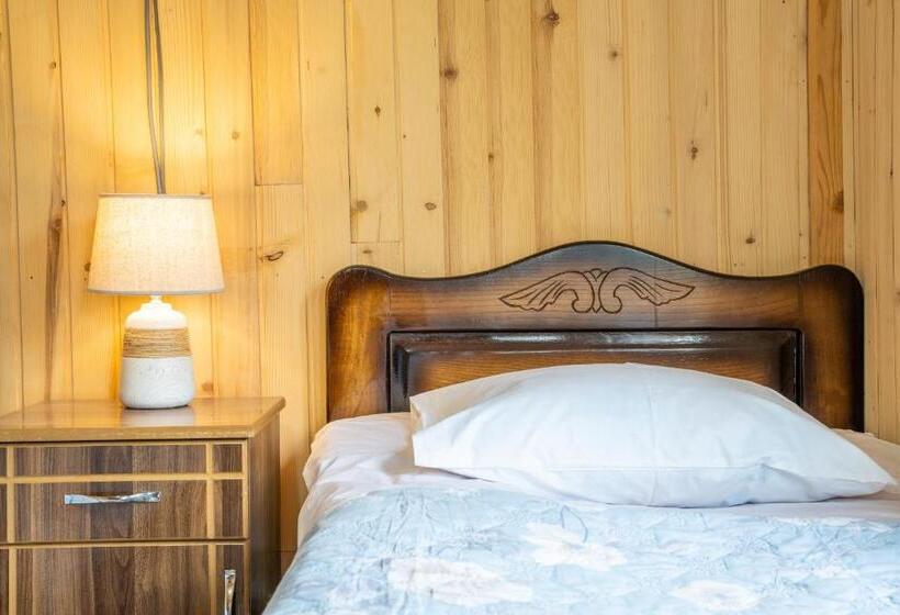 اتاق اکونومی, Guesthouse Nashgobi