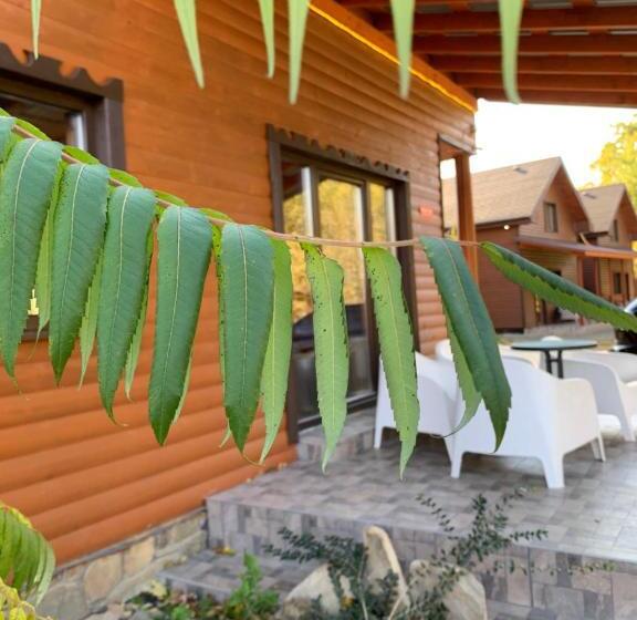 침실 3개 주택, Guest House Pid Dubom карпати під дубом