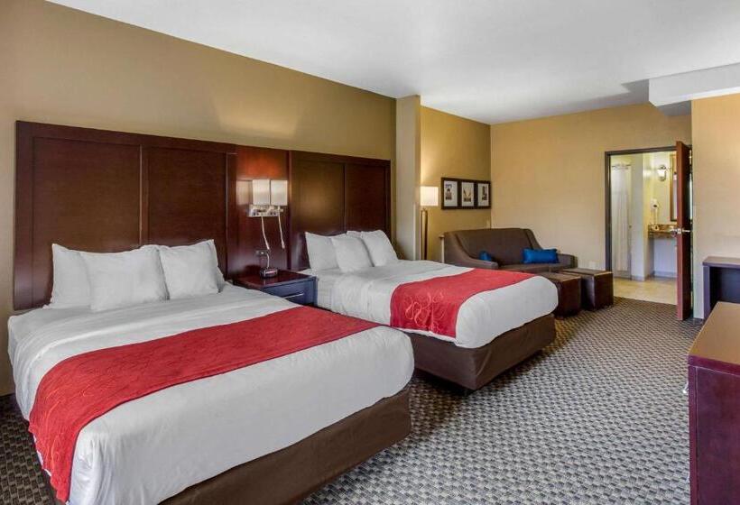 Люкс Адаптированный для Инвалидов, Comfort Suites