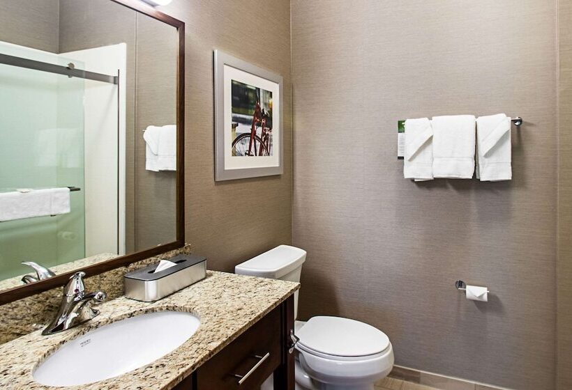 Люкс, Sleep Inn & Suites Madison   Monona
