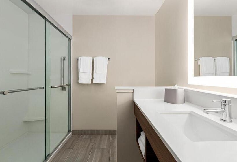 스탠다드 룸 킹사이즈 침대, Holiday Inn Express & Suites   Ukiah, An Ihg