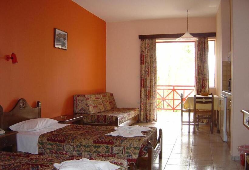 استودیو استاندارد با چشم‌انداز کوهستان, Apollon Hotel Apartments