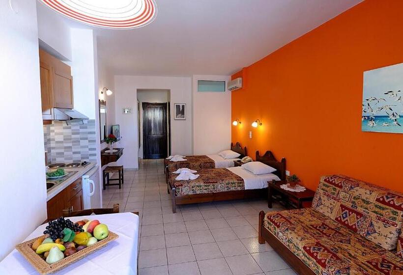استودیو استاندارد با چشم‌انداز کوهستان, Apollon Hotel Apartments