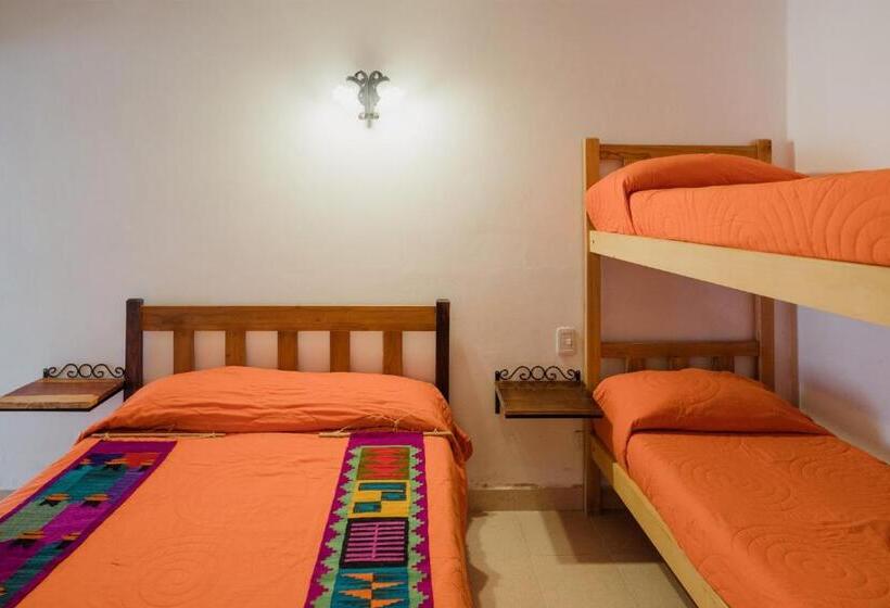Quarto Quádruplo Estandar, Aires De Cafayate