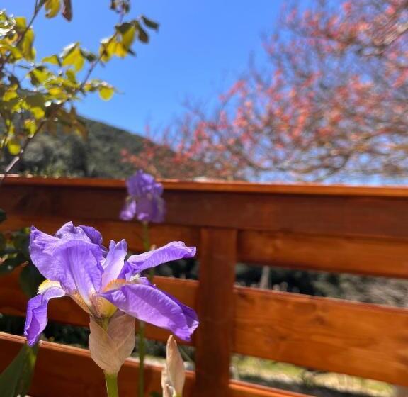 اتاق استاندارد با تخت بزرگ, B&b La Fucinaia Pet Friendly Adults Only