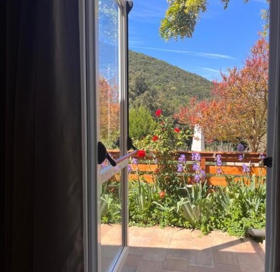 اتاق استاندارد با تخت بزرگ, B&b La Fucinaia Pet Friendly Adults Only