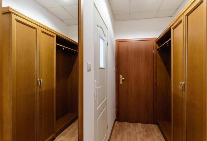 آپارتمان سوپریور 1 خوابه, Golden Lion Guest Rooms Szewska 19
