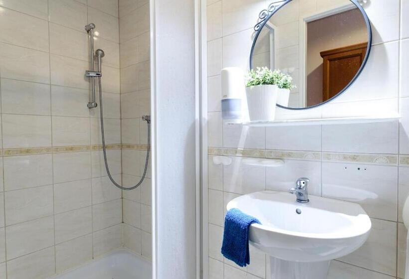 آپارتمان سوپریور 1 خوابه, Golden Lion Guest Rooms Szewska 19