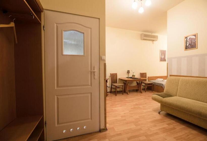 آپارتمان 1 خوابه, Golden Lion Guest Rooms Szewska 19