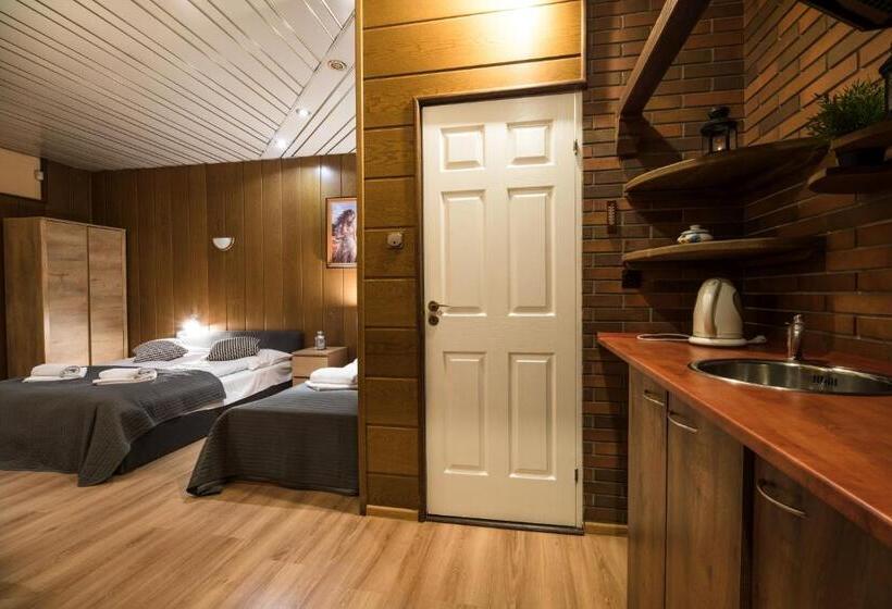 آپارتمان لوکس 1 خوابه, Golden Lion Guest Rooms Szewska 19
