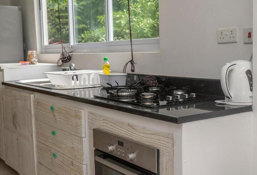 آپارتمان 1 خوابه با چشم‌انداز باغ, Domaine Desaubin Luxury Villas