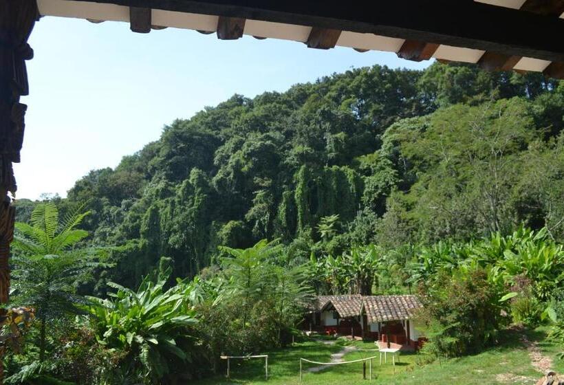 Студия Стандарт, Eco Hotel La Jicarita