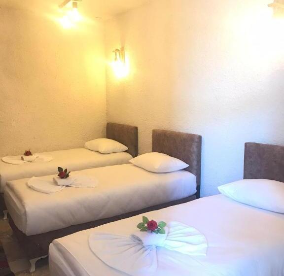 اتاق استاندارد سه نفره, Cappadocia Urgup Stone House