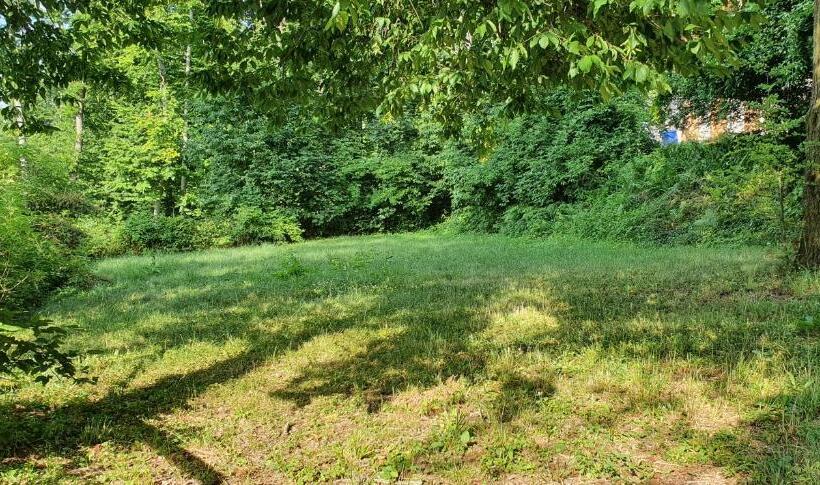 چادر با خدمات رفاهی استاندارد, Fehérkőlápa Turistaház Panzió