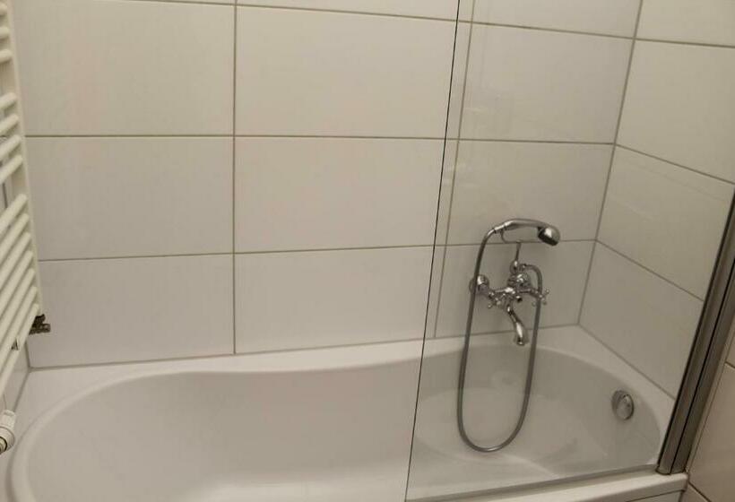 اتاق استاندارد یک نفره, Boutique Hotel Schwarzer Baer