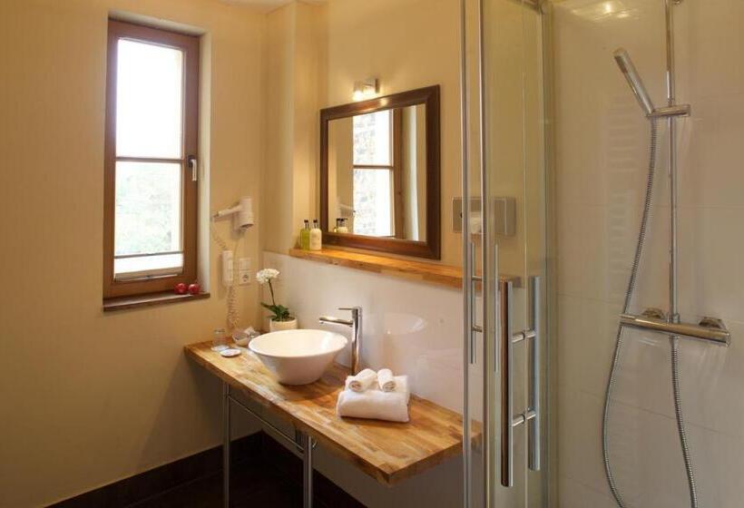 اتاق استاندارد, Boutique Hotel Schwarzer Baer