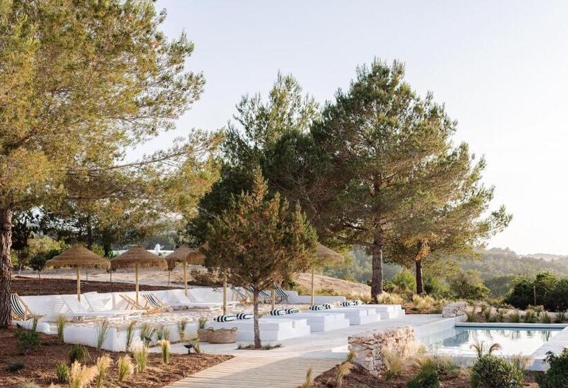 استودیو استاندارد با تراس, Agroturismo Can Domo