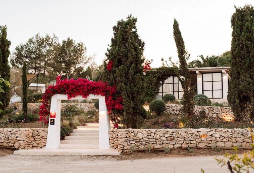 اتاق سوپریور چهار تخته, Agroturismo Can Domo