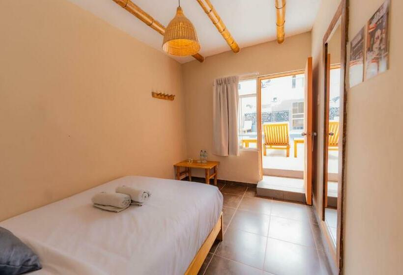 اتاق استاندارد با سرویس بهداشتی مشترک, Viajero Paracas Hostel