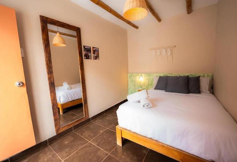اتاق استاندارد با سرویس بهداشتی مشترک, Viajero Paracas Hostel