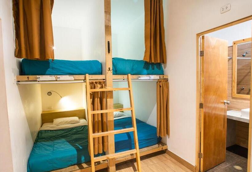 تختخواب در اتاق مشترک, Viajero Paracas Hostel