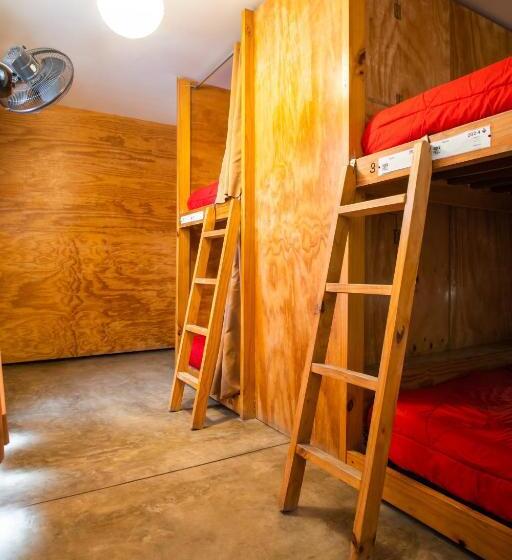 تختخواب در اتاق مشترک, Viajero Paracas Hostel