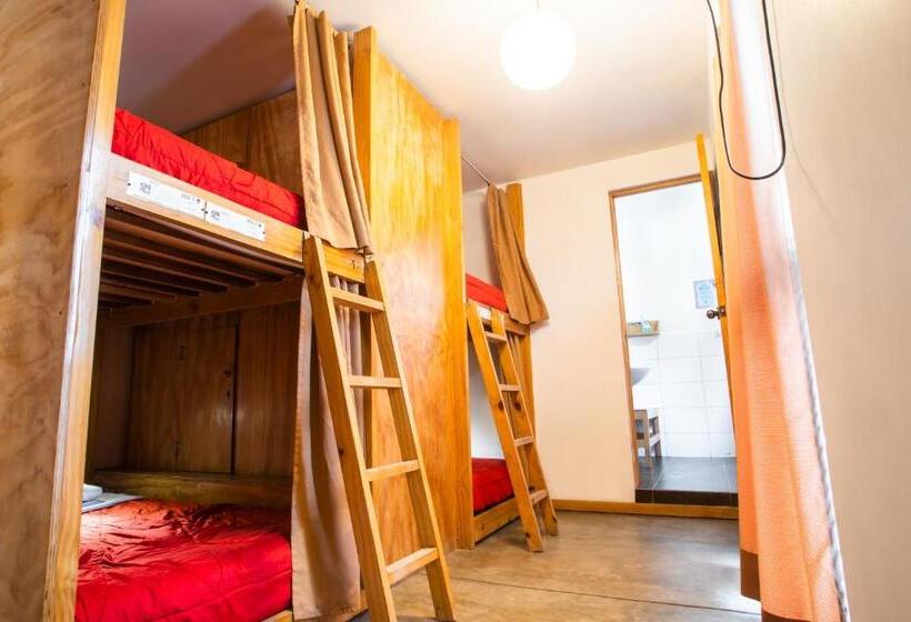 تختخواب در اتاق مشترک, Viajero Paracas Hostel