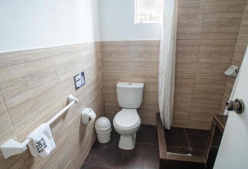 اتاق استاندارد, Viajero Paracas Hostel