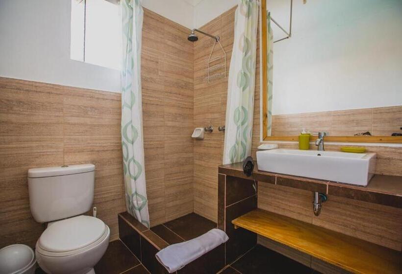 اتاق استاندارد, Viajero Paracas Hostel