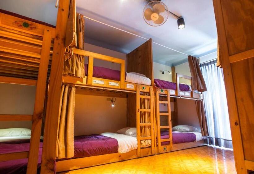 تختخواب در اتاق مشترک, Viajero Paracas Hostel