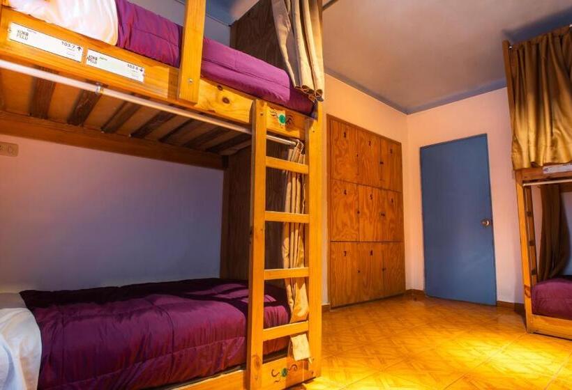 تختخواب در اتاق مشترک, Viajero Paracas Hostel