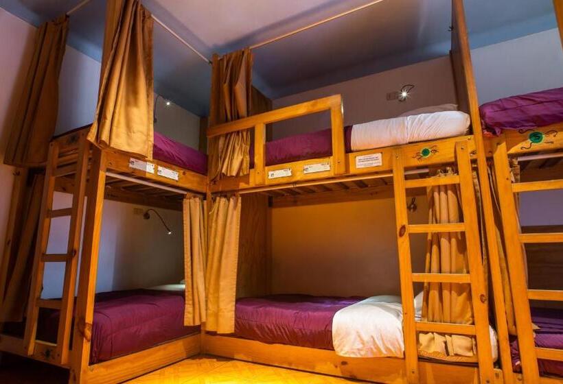 تختخواب در اتاق مشترک, Viajero Paracas Hostel