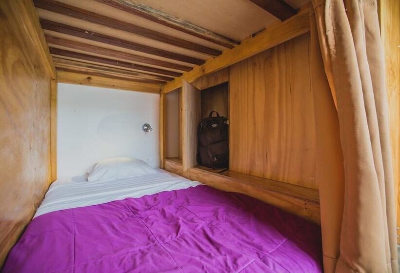 تختخواب در اتاق مشترک, Viajero Paracas Hostel