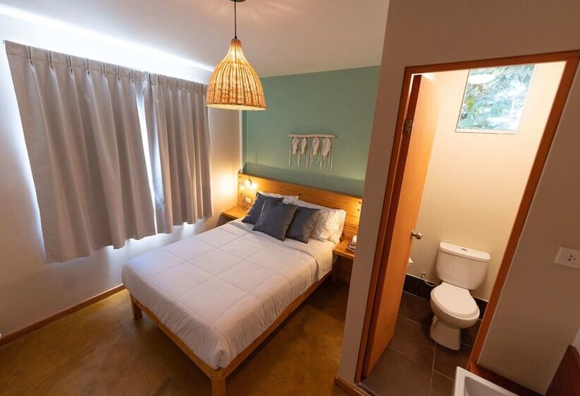 اتاق استاندارد با سرویس بهداشتی مشترک, Viajero Paracas Hostel