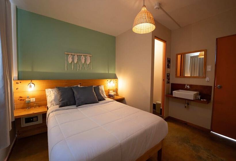 اتاق استاندارد با سرویس بهداشتی مشترک, Viajero Paracas Hostel